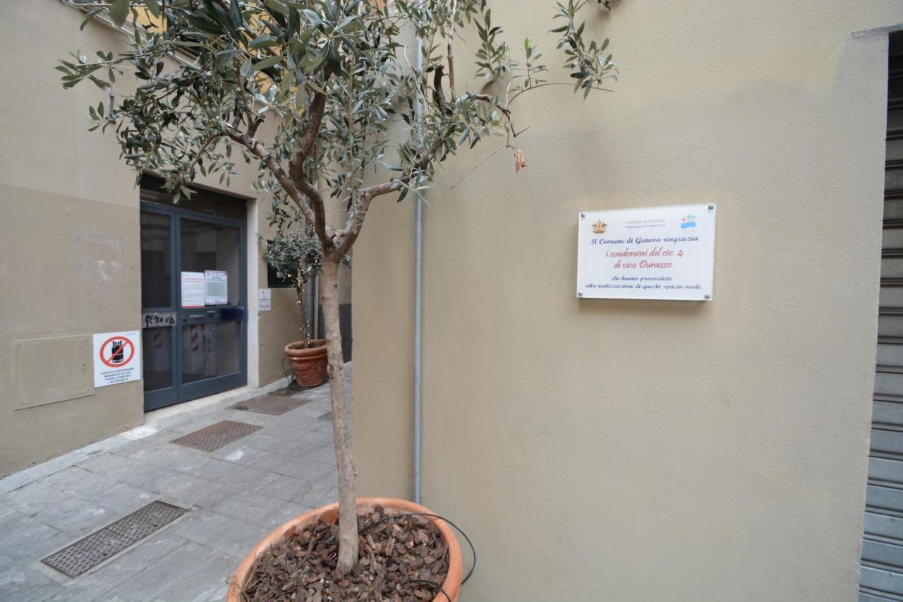 Vico Durazzo